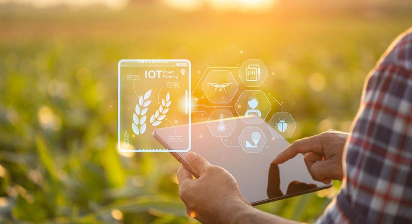 Az adat a gazda legfontosabb eszköze: így segít az IoT