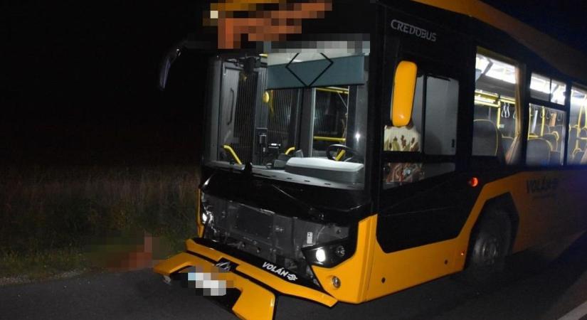 Súlyos pillanatok az országúton: busz ütött el egy őzet