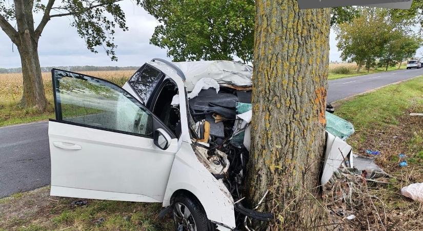 TRAGÉDIA: Fának hajtott egy autó Alistál és Padány között, a 29 éves férfi életét vesztette