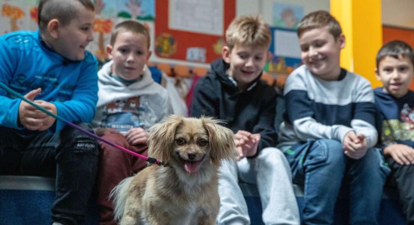 A Fema Állatmentők négylábú vendégekkel érkeztek az iskolába