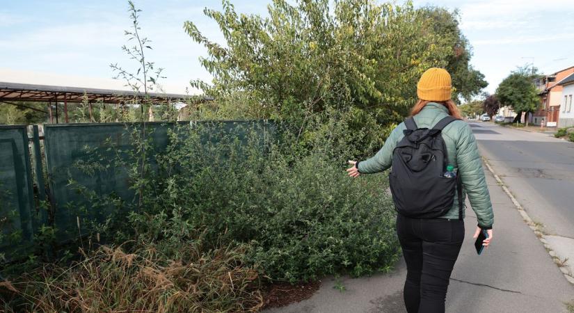 Új szeméttelep alakult Szegeden? Amit a hulladék között találtunk, arra senki sem számított – galériával, videóval