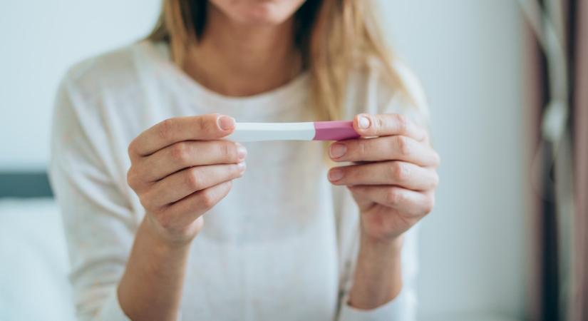 Várandósság hétről hétre: A magzat fejlődése az első trimeszterben