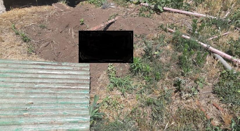 Véresre verte, majd kikötve egy pala alatt hagyta elpusztulni kutyáját a konyári férfi, 6 hónap börtönt kapott felfüggesztve