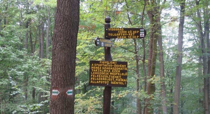 Felkavaró fotók Kaszás Nikolett utolsó útjáról és a megtalálásának pontos helyszínéről