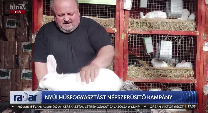 MAGYAR SIKER: Mi vagyunk a 2. legnagyobb nyúlexportőr!