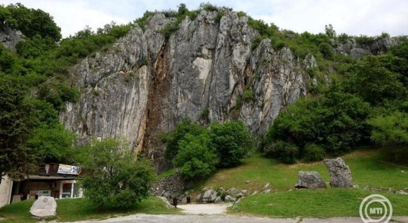 Madárbarát vezetékek és fenntartható hálózat az Aggteleki Nemzeti Parkban