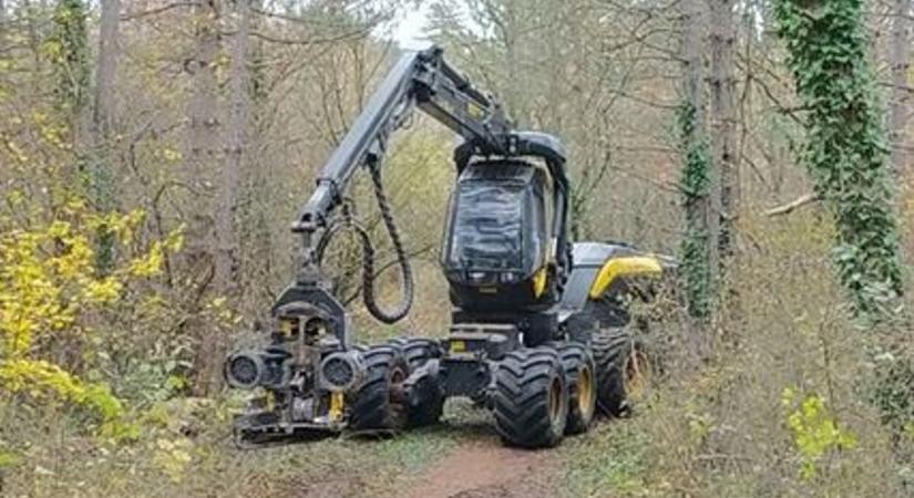 Fakitermelési munkálatok miatt nem látogatható a népszerű kirándulóhely
