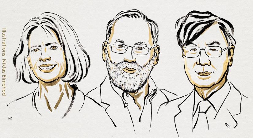 Idén három tudós nyerte el az orvosi-élettani Nobel-díjat