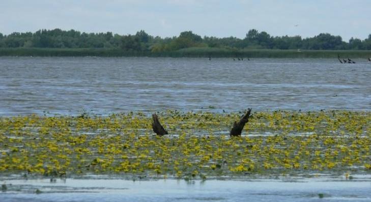 Egylépcsőben hajtják végre a Tisza-tó téli leürítését 