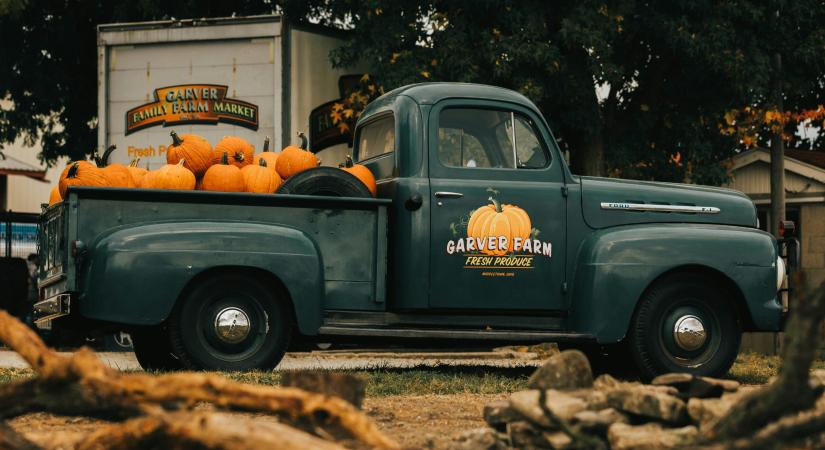 A 3 legszerencsésebb csillagjegy, akik idén Halloweenkor akár a lottót is megnyerhetik (egy kis mágiának köszönhetően)