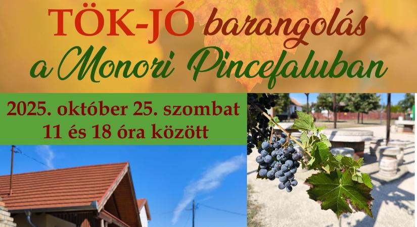 Tök-Jó barangolások a Monori Pincefaluban 2025