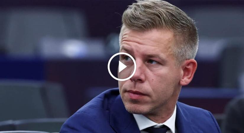 Érdekes dolgot mondott Magyar Péter Orbán Viktorról – Ilyen a magánéletben a miniszterelnök?
