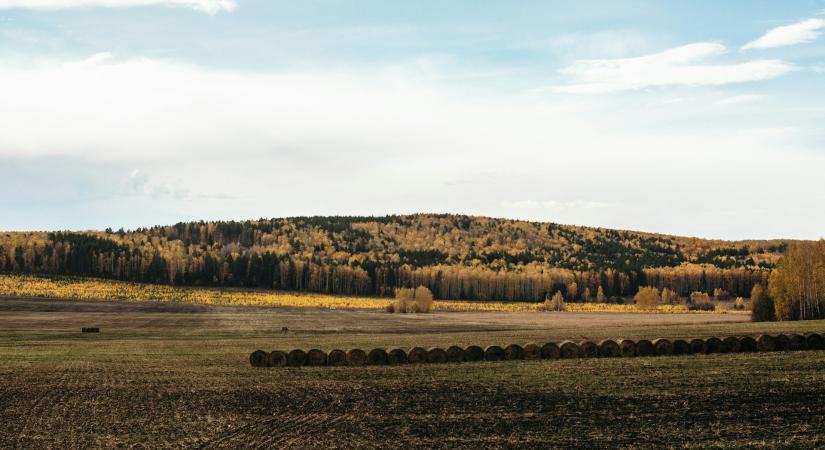 Még tombol a pollen, várjuk már a végét! Pollenjelentés