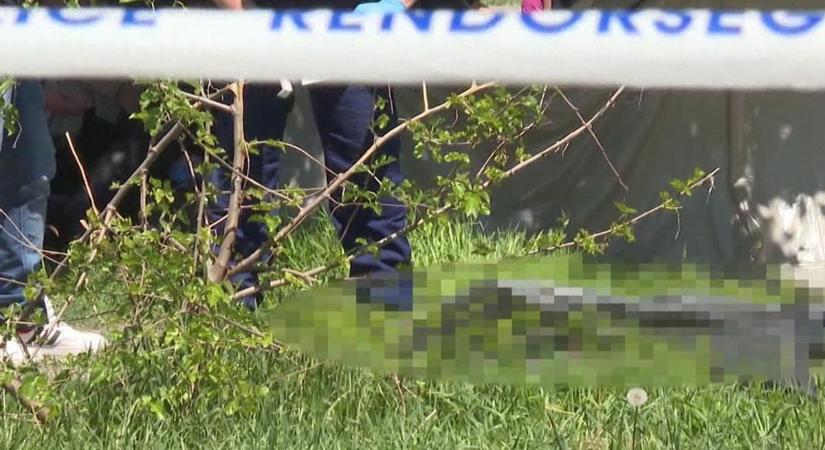 Brutális kegyetlenséggel végzett gyermekei anyjával a füzesabonyi férfi, de egy dolog még mindig tisztázatlan videó