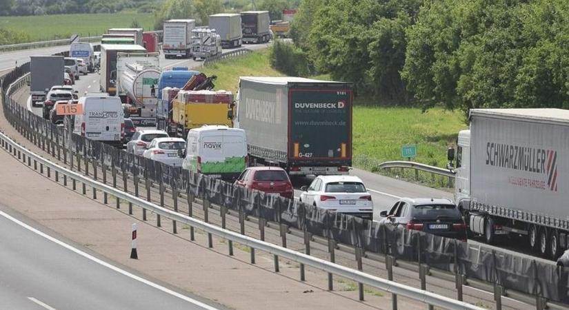 Veszélyes állatok érkezhettek rakománnyal az országba, Szabolcsban is csapdákat tettek az autópálya mellé