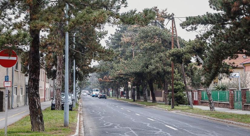 Súlyosan megsérült a Paragvári utcában elütött gyalogos