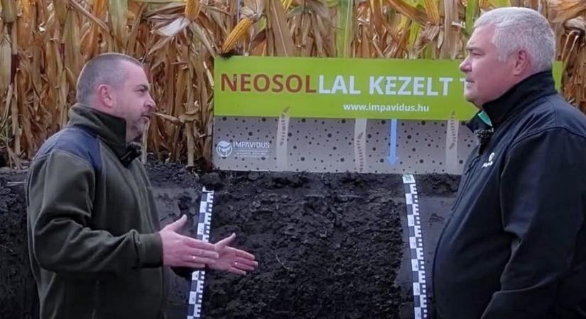 Talajgyógyítás reaktiválással. Mutatjuk!
