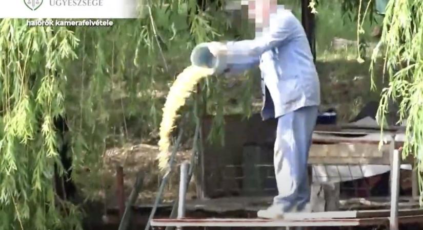 Horogra akadt egy orvhalász Mosonmagyaróvárnál