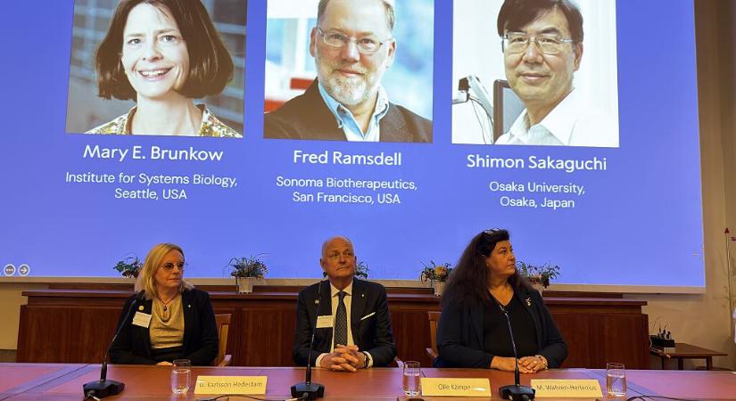 Az immunrendszer titkát fedték fel az idei Nobel-díjasok