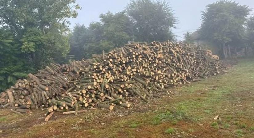 Szeretnél ingyen tűzifát? Ezen a hajdú-bihari településen jól járnak a lakosok!