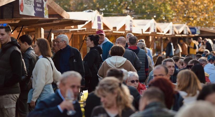 Itt az ősz legbalatonibb gasztrofesztiválja, a Füge Feszt