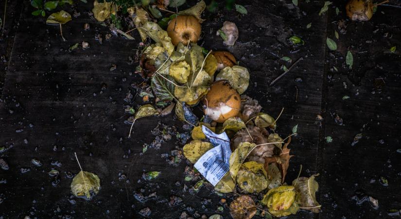 A magyarok szerint az élelmiszer-pazarlás ugyanolyan nagy probléma, mint a klímaváltozás