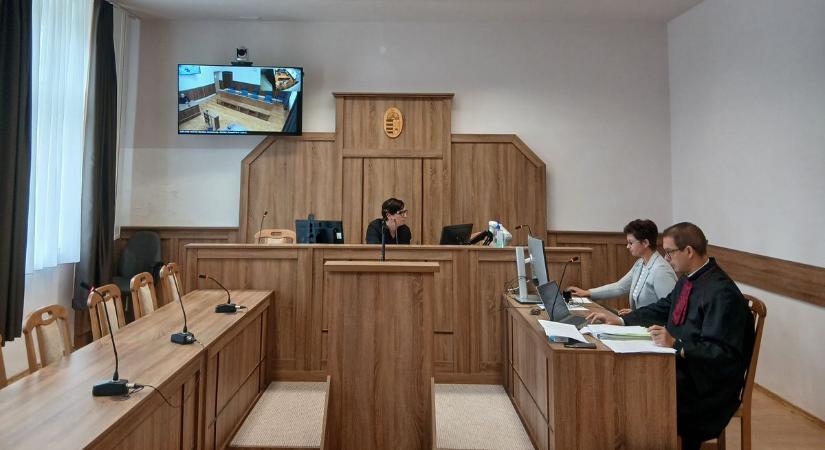 Egy éven keresztül szerelőnek adtak ki magát az interneten egy vasi férfi