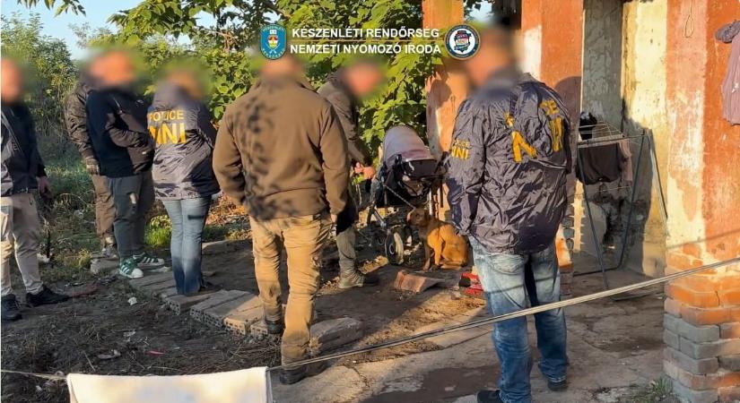 Kutyáikat egymásnak uszító tinédzsereket fogott el a rendőrség – videó