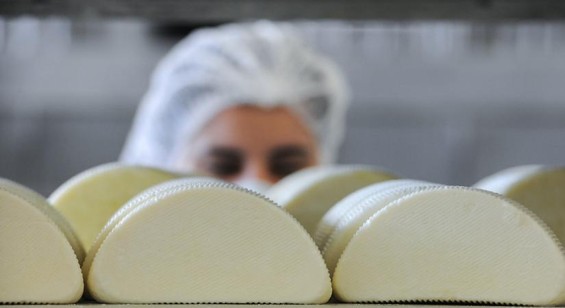 Eltűnik a trappistaként árult sajtok egy része a boltokból