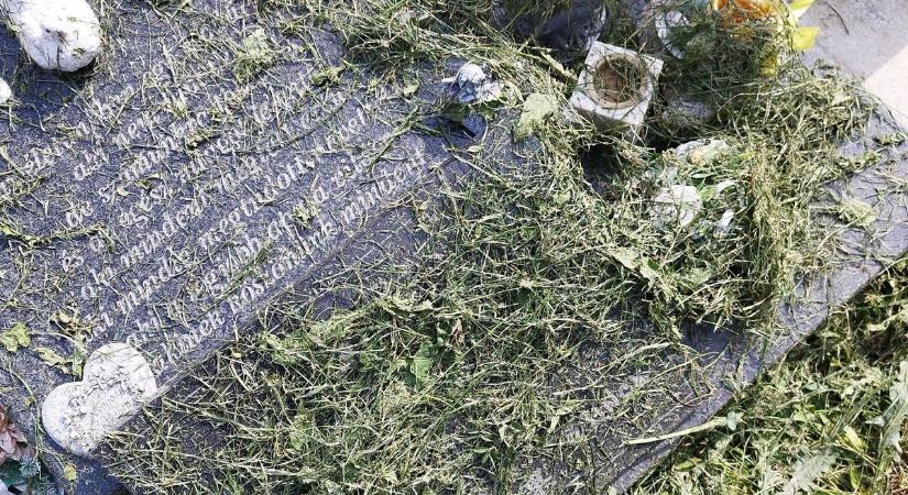 Kegyeletsértés az oroszlányi temetőben: olvasónk fotóján a tiszteletlen eset