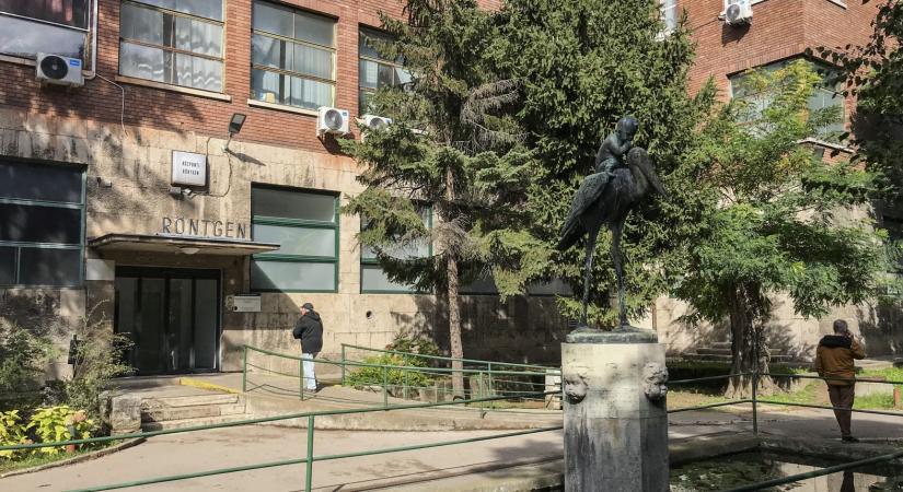 Telex: Órákig állt a Szent János Kórház informatikai rendszere kedden