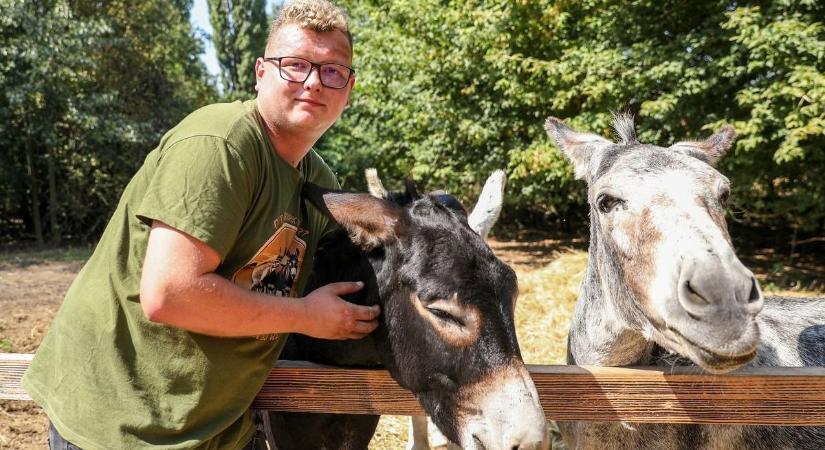 Megnehezítik a támogatást a csacsi-ellenesek