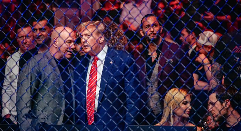 Megvalósul Trump álma: UFC-mérkőzést rendeznek születésnapján a Fehér Házban