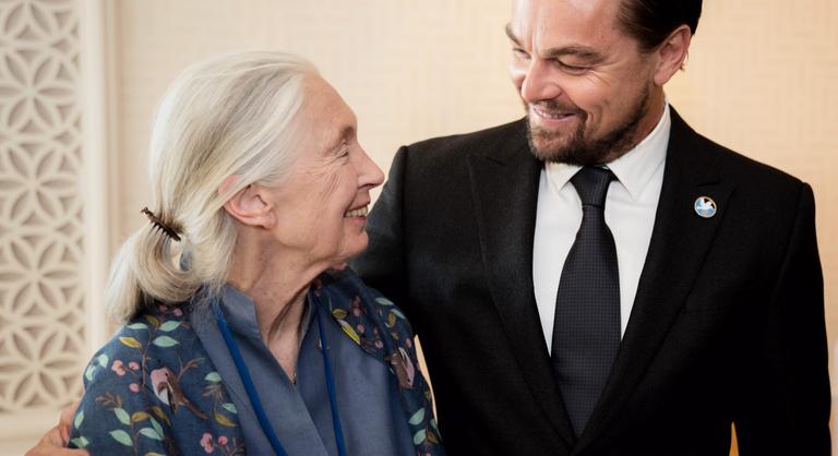 Jane Goodall, a földre szállt angyal utolsó szavai
