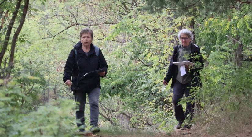 Jól sikerült túrával búcsúztak az idei évtől a természetjárók (képgalériával)
