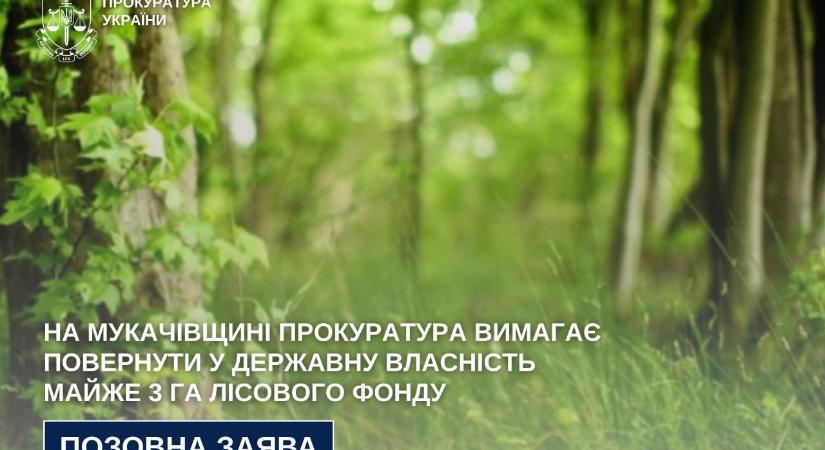 A Munkácsi járásban az ügyészség közel 3 hektár erdőterület visszaszolgáltatását követeli az államnak