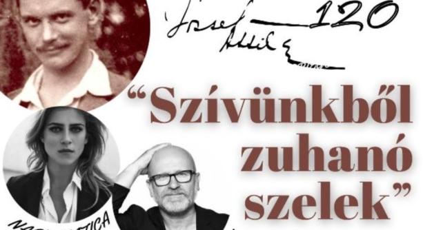 Betegség miatt elmarad a könyvtári "szívzuhanás"