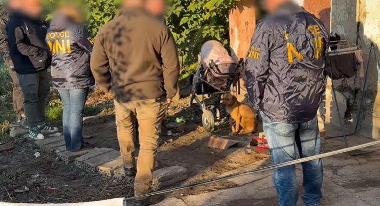 Elfogták a fiatalokat, akik tiltott kutyaviadalt tartottak Hevesben