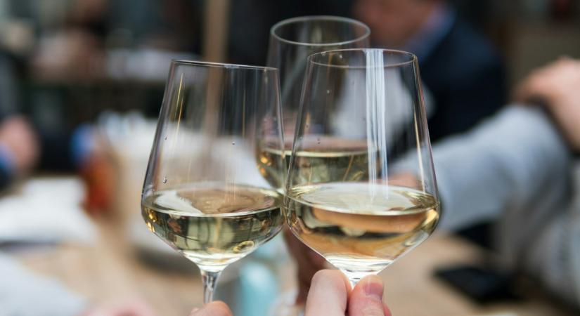 Bor, gasztronómia és jazz a Badacsony lábánál – pénteken kezdődik a Füge Feszt