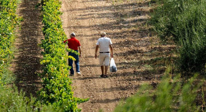 Az egész országban életbe lépett a rendhagyó akcióterv, a fertőzés mégis megállíthatatlannak tűnik