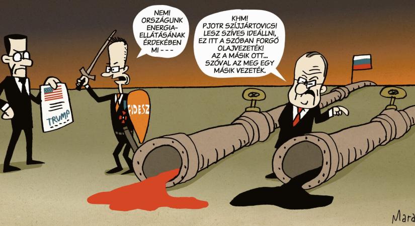 Barátság
