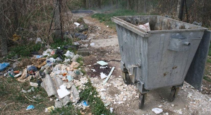 Sertéstetemet találtak az állatmenhelynél, rendőrségi ügy lett az elborzasztó esetből