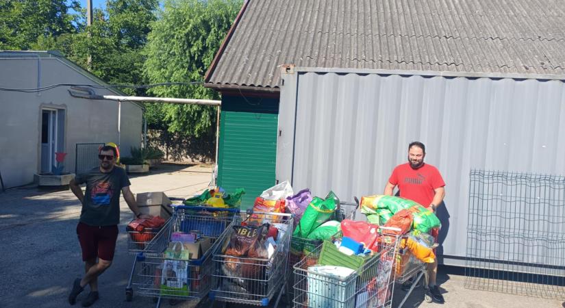 Állatokon segítettek a győri Opelesek