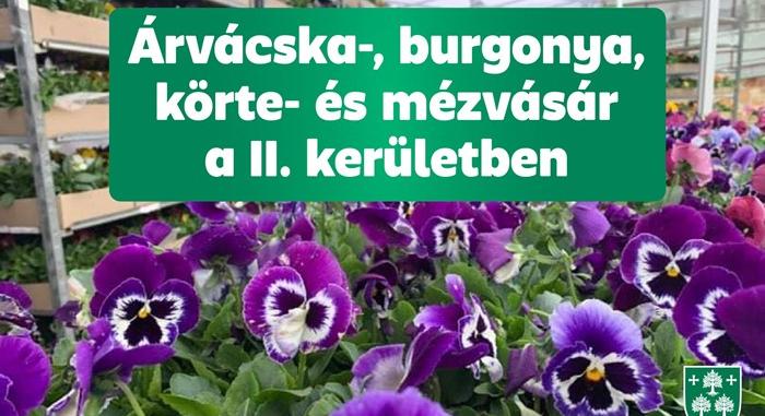 Burgonya-, árvácska-, körte- és mézvásár a II. kerületben