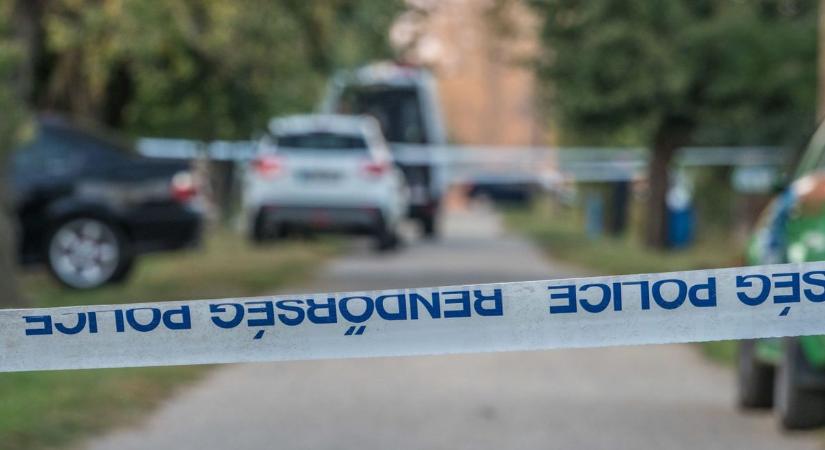 Az ebédje mellett végezték ki a hajdú-bihari asszonyt, 36-szor szúrt a könyörtelen vállalkozó – videóval