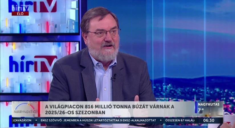 Napindító: Világpiaci stabilizáció! 816 millió tonna búza – Mit jelent ez a magyar gazdáknak?  videó
