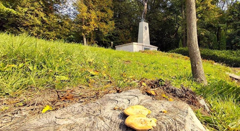 Őszi barangolás az alsósztregovai kastélyparkban