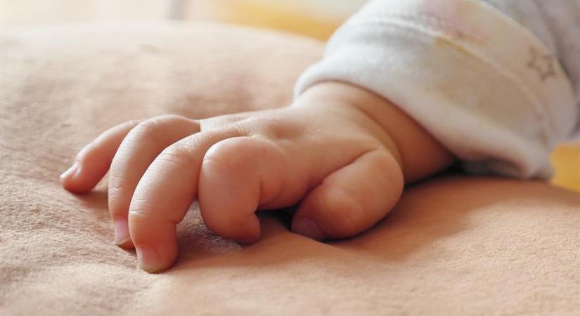 Egyetlen nap alatt 27 baba született Újvidéken