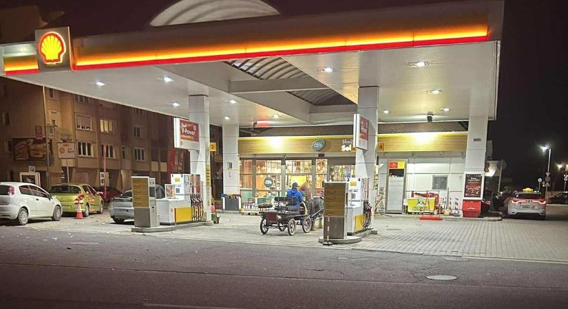 Hány lóerő? - Lovaskocsi "tankolt" a Kiskar utcai benzinkútnál Szombathelyen - fotó
