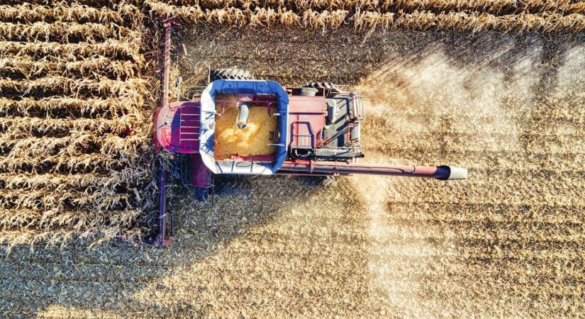 Emelkedő pályán a gabonatermés: optimistább lett a FAO
